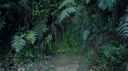 Découverte Mamelle de Pigeon