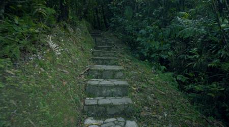 Découverte Mamelle de Pigeon