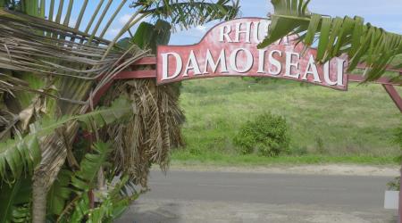 Rhum Damoiseau