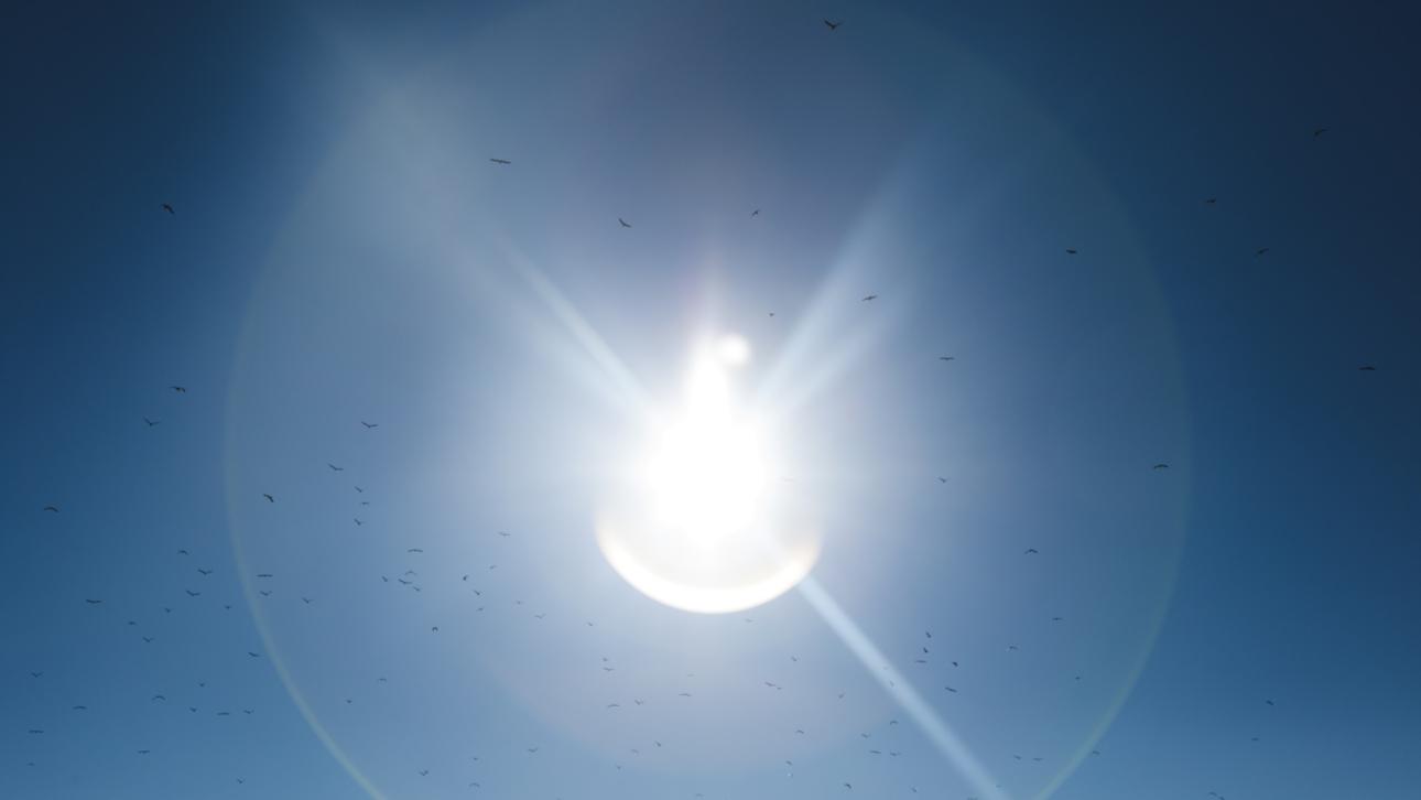 Un étrange phénomène lumineux observé dans le ciel des Antilles