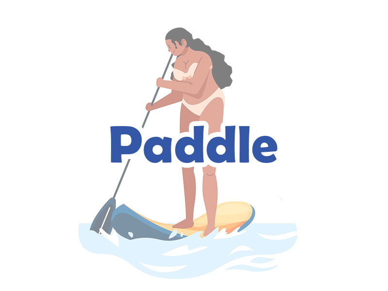 62c84054a93774.07992866-logo-paddle.jpg
