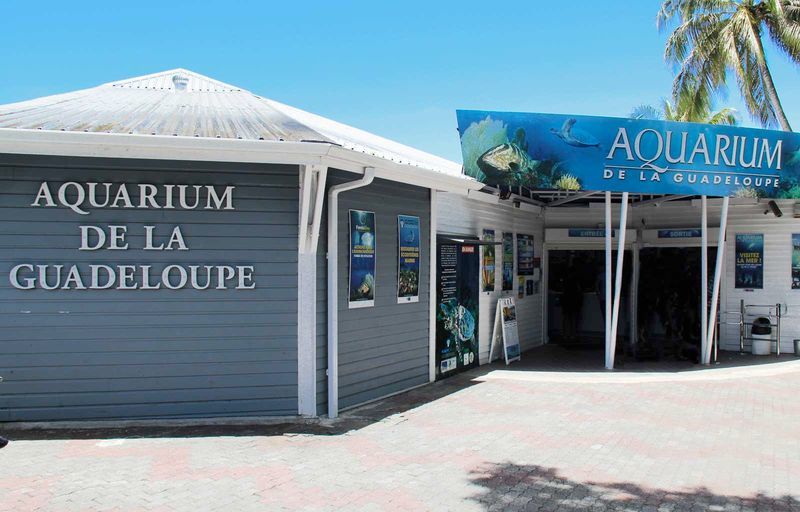 Parc National de la Guadeloupe et Aquarium de la Guadeloupe