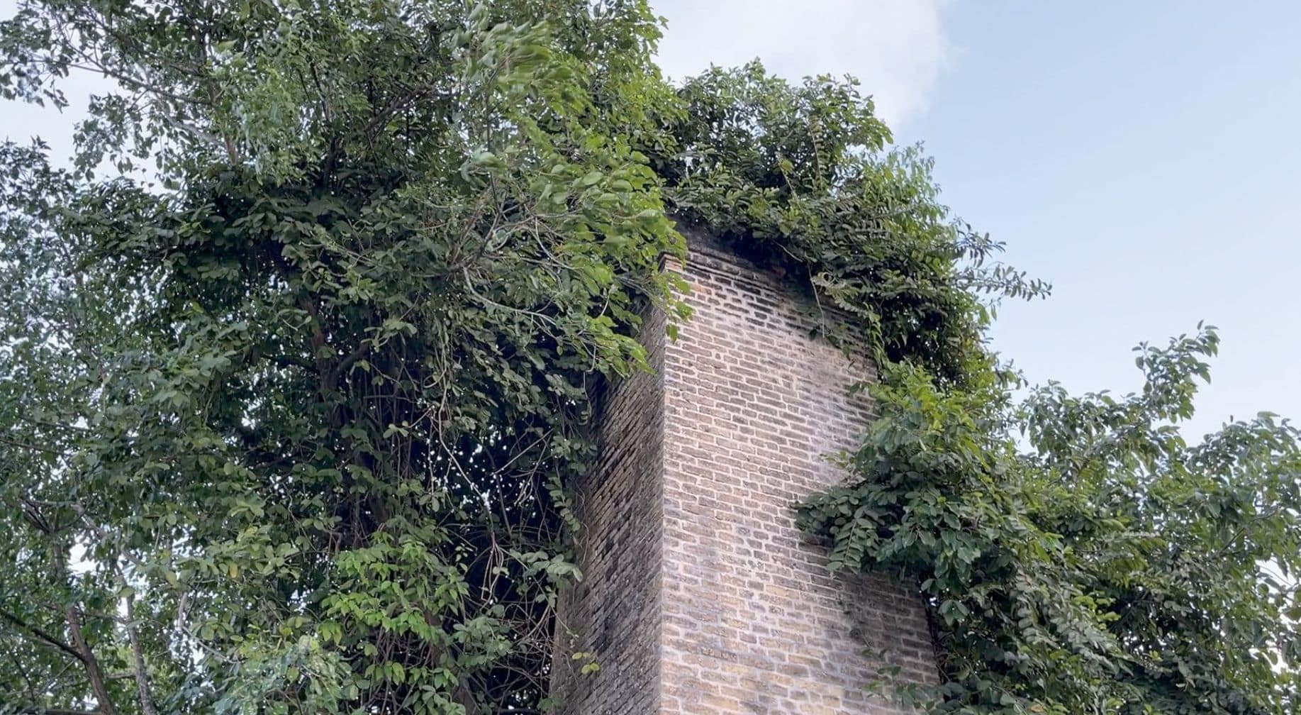 Ruines d'une habitation coloniale envahie par la végétation.