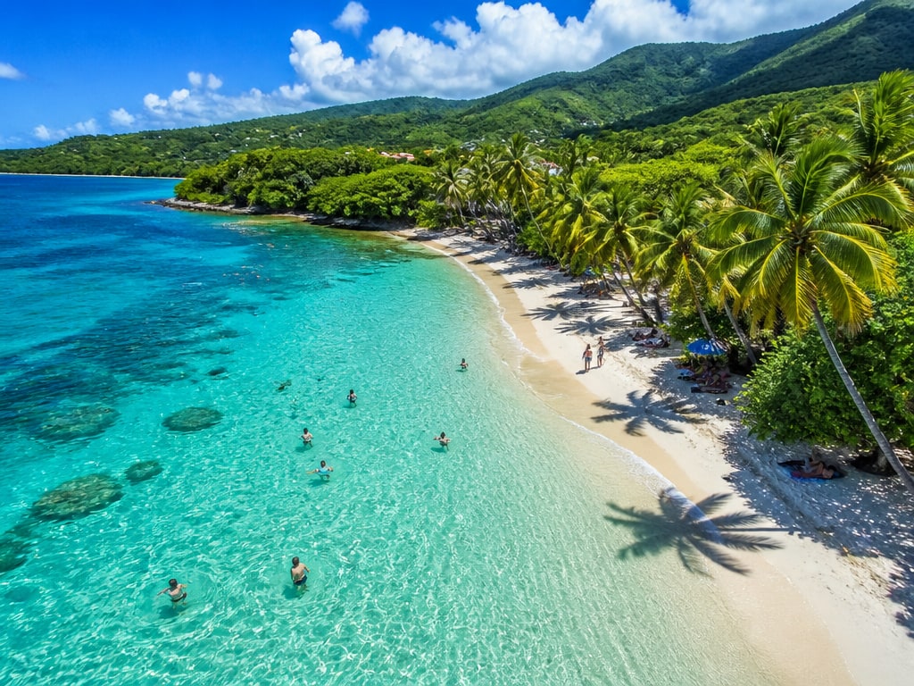 Vue aérienne d'une plage paradisiaque de Guadeloupe au lagon turquoise