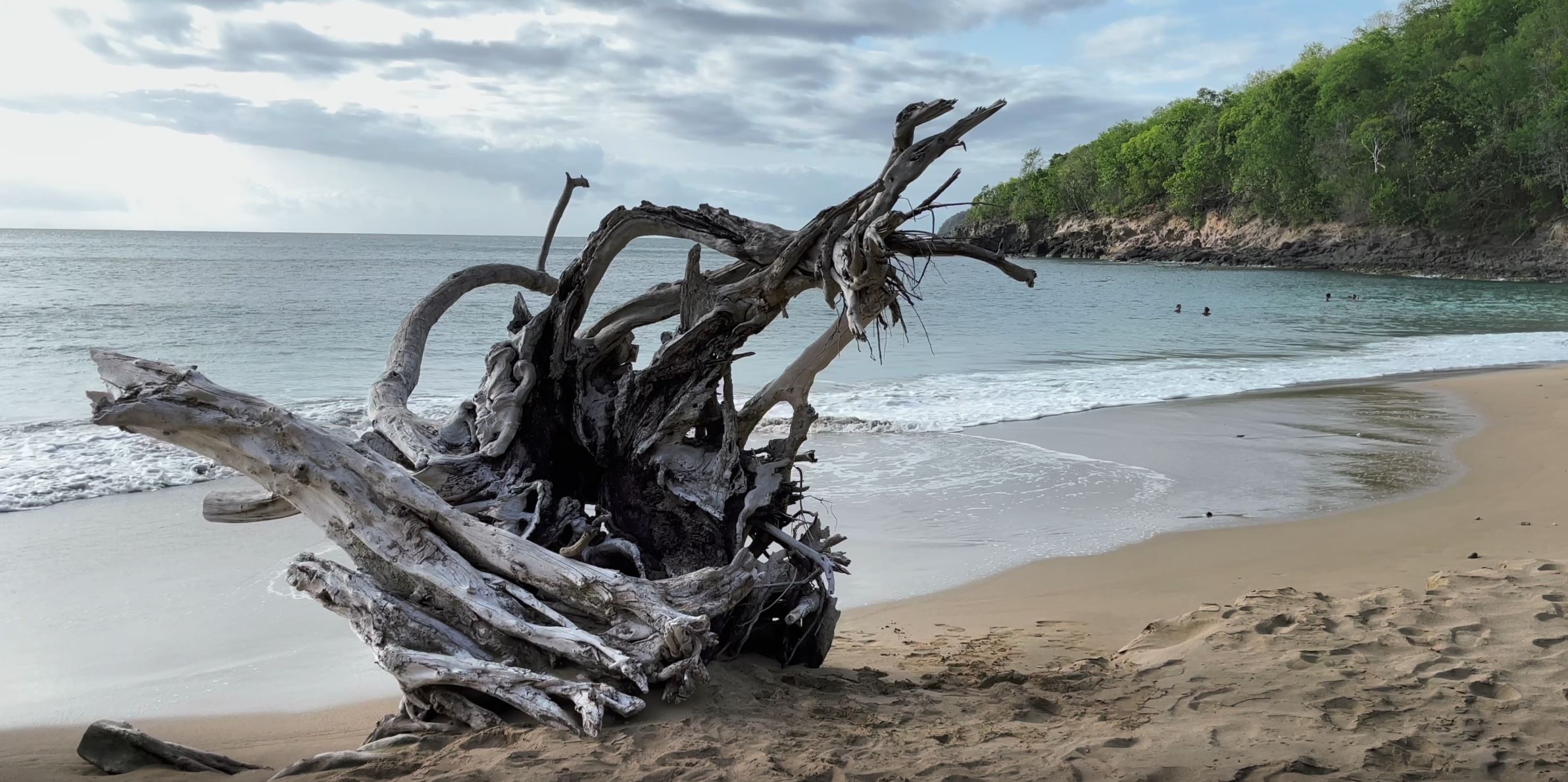 plage nord basse terre