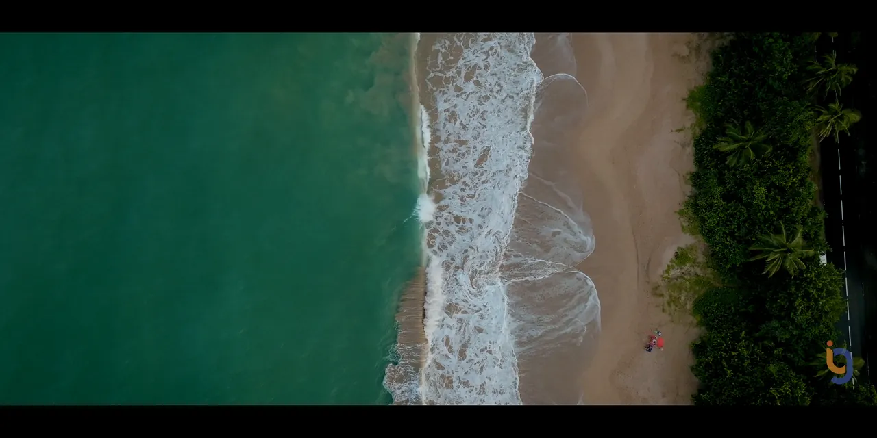Vue aérienne d’une plage bordée de végétation dans le nord de Basse-Terre, en Guadeloupe